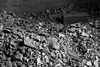 Ruins II (My House)
