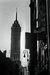 La Superviviente. Torre Latinoamericana